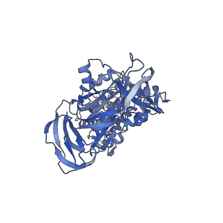 34363_8gxw_B_v1-2
2 ATP-bound V1EG of V/A-ATPase from Thermus thermophilus