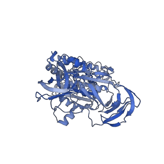 34363_8gxw_C_v1-2
2 ATP-bound V1EG of V/A-ATPase from Thermus thermophilus