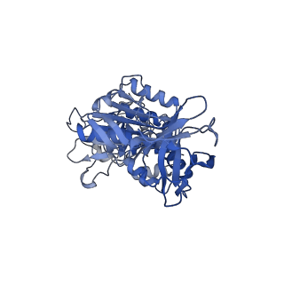 34363_8gxw_D_v1-2
2 ATP-bound V1EG of V/A-ATPase from Thermus thermophilus