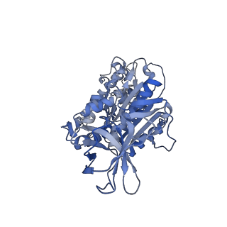 34363_8gxw_F_v1-2
2 ATP-bound V1EG of V/A-ATPase from Thermus thermophilus