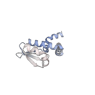 34363_8gxw_L_v1-2
2 ATP-bound V1EG of V/A-ATPase from Thermus thermophilus