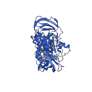 34364_8gxx_A_v1-2
3 nucleotide-bound V1EG of V/A-ATPase from Thermus thermophilus.