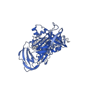34364_8gxx_B_v1-2
3 nucleotide-bound V1EG of V/A-ATPase from Thermus thermophilus.