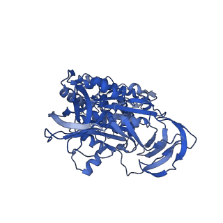 34364_8gxx_C_v1-2
3 nucleotide-bound V1EG of V/A-ATPase from Thermus thermophilus.