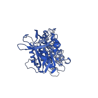 34364_8gxx_E_v1-2
3 nucleotide-bound V1EG of V/A-ATPase from Thermus thermophilus.
