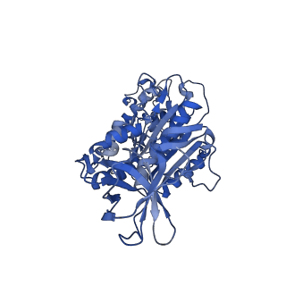 34364_8gxx_F_v1-2
3 nucleotide-bound V1EG of V/A-ATPase from Thermus thermophilus.