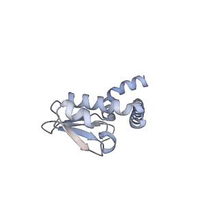 34364_8gxx_L_v1-2
3 nucleotide-bound V1EG of V/A-ATPase from Thermus thermophilus.