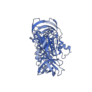 34365_8gxy_A_v1-2
2 sulfate-bound V1EG of V/A-ATPase from Thermus thermophilus.