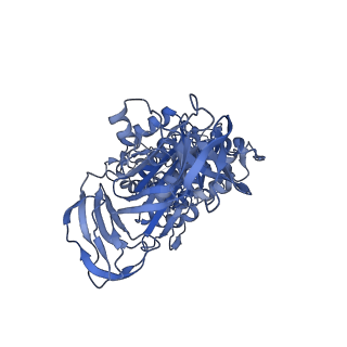 34365_8gxy_B_v1-2
2 sulfate-bound V1EG of V/A-ATPase from Thermus thermophilus.