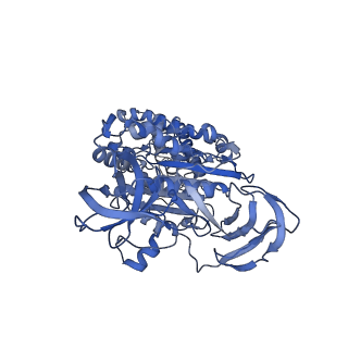 34365_8gxy_C_v1-2
2 sulfate-bound V1EG of V/A-ATPase from Thermus thermophilus.