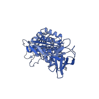 34365_8gxy_D_v1-2
2 sulfate-bound V1EG of V/A-ATPase from Thermus thermophilus.