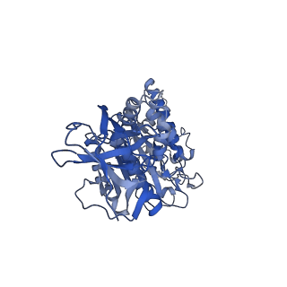 34365_8gxy_E_v1-2
2 sulfate-bound V1EG of V/A-ATPase from Thermus thermophilus.