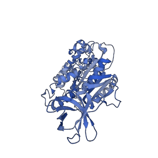 34365_8gxy_F_v1-2
2 sulfate-bound V1EG of V/A-ATPase from Thermus thermophilus.