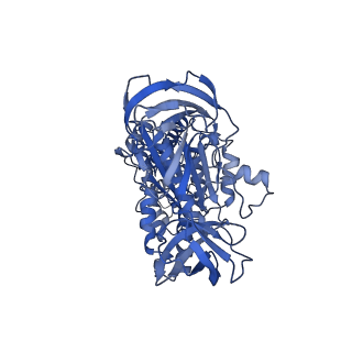 34366_8gxz_A_v1-2
1 sulfate and 1 ATP bound V1EG of V/A-ATPase from Thermus thermophilus.