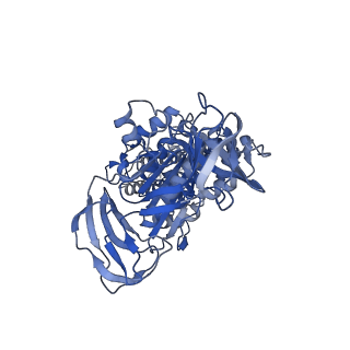 34366_8gxz_B_v1-2
1 sulfate and 1 ATP bound V1EG of V/A-ATPase from Thermus thermophilus.