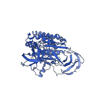 34366_8gxz_C_v1-2
1 sulfate and 1 ATP bound V1EG of V/A-ATPase from Thermus thermophilus.