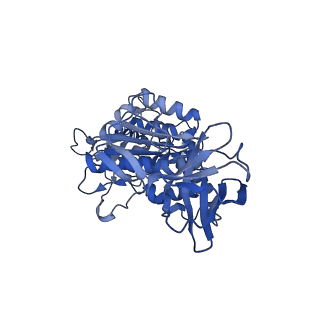34366_8gxz_D_v1-2
1 sulfate and 1 ATP bound V1EG of V/A-ATPase from Thermus thermophilus.