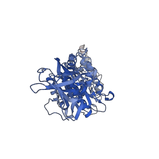 34366_8gxz_E_v1-2
1 sulfate and 1 ATP bound V1EG of V/A-ATPase from Thermus thermophilus.