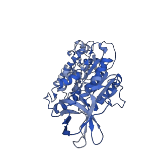 34366_8gxz_F_v1-2
1 sulfate and 1 ATP bound V1EG of V/A-ATPase from Thermus thermophilus.