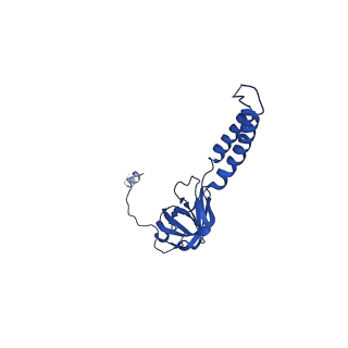 0089_6gyb_f_v1-4
Cryo-EM structure of the bacteria-killing type IV secretion system core complex from Xanthomonas citri