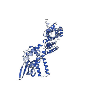 0093_6gyn_B_v1-1
Structure of human HCN4 hyperpolarization-activated cyclic nucleotide-gated ion channel