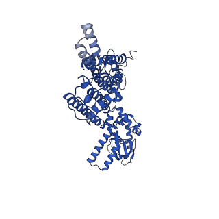 0094_6gyo_C_v1-1
Structure of human HCN4 hyperpolarization-activated cyclic nucleotide-gated ion channel in complex with cAMP