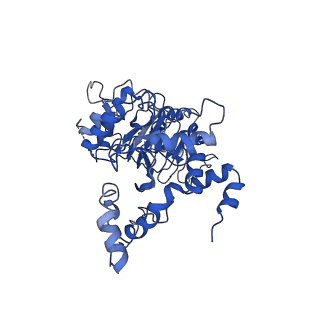 0095_6gyp_A_v1-3
Cryo-EM structure of the CBF3-core-Ndc10-DBD complex of the budding yeast kinetochore