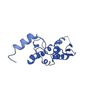 0095_6gyp_D_v1-3
Cryo-EM structure of the CBF3-core-Ndc10-DBD complex of the budding yeast kinetochore
