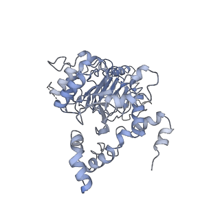 0096_6gys_A_v1-4
Cryo-EM structure of the CBF3-CEN3 complex of the budding yeast kinetochore