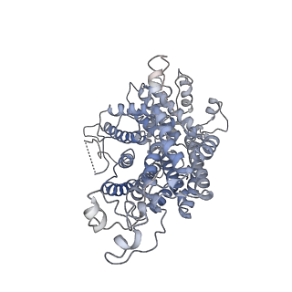 0096_6gys_B_v1-4
Cryo-EM structure of the CBF3-CEN3 complex of the budding yeast kinetochore