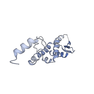 0096_6gys_D_v1-4
Cryo-EM structure of the CBF3-CEN3 complex of the budding yeast kinetochore