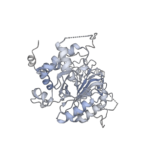 0096_6gys_H_v1-4
Cryo-EM structure of the CBF3-CEN3 complex of the budding yeast kinetochore