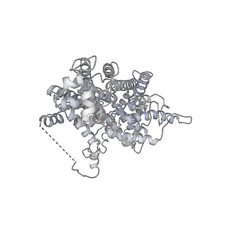 0096_6gys_I_v1-4
Cryo-EM structure of the CBF3-CEN3 complex of the budding yeast kinetochore