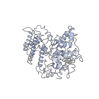 0096_6gys_L_v1-4
Cryo-EM structure of the CBF3-CEN3 complex of the budding yeast kinetochore