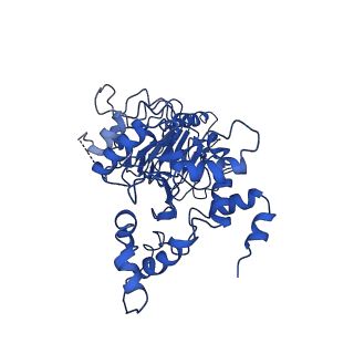 0097_6gyu_A_v1-3
Cryo-EM structure of the CBF3-msk complex of the budding yeast kinetochore