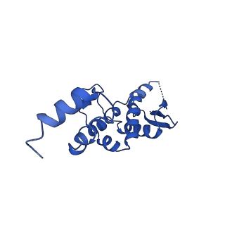 0097_6gyu_D_v1-3
Cryo-EM structure of the CBF3-msk complex of the budding yeast kinetochore