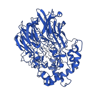 34368_8gy2_A_v1-0
Cryo-EM Structure of Membrane-Bound Alcohol Dehydrogenase from Gluconobacter oxydans