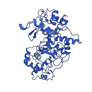 34368_8gy2_B_v1-0
Cryo-EM Structure of Membrane-Bound Alcohol Dehydrogenase from Gluconobacter oxydans