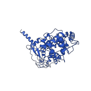34369_8gy3_A_v1-0
Cryo-EM Structure of Membrane-Bound Aldehyde Dehydrogenase from Gluconobacter oxydans