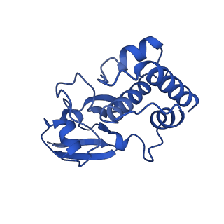 34369_8gy3_B_v1-0
Cryo-EM Structure of Membrane-Bound Aldehyde Dehydrogenase from Gluconobacter oxydans