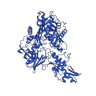 34369_8gy3_C_v1-0
Cryo-EM Structure of Membrane-Bound Aldehyde Dehydrogenase from Gluconobacter oxydans