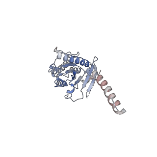 34371_8gy7_A_v1-0
Cryo-EM structure of ACTH-bound melanocortin-2 receptor in complex with MRAP1 and Gs protein