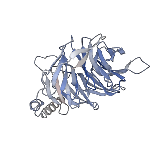 34371_8gy7_B_v1-0
Cryo-EM structure of ACTH-bound melanocortin-2 receptor in complex with MRAP1 and Gs protein