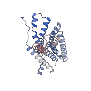 34371_8gy7_R_v1-0
Cryo-EM structure of ACTH-bound melanocortin-2 receptor in complex with MRAP1 and Gs protein