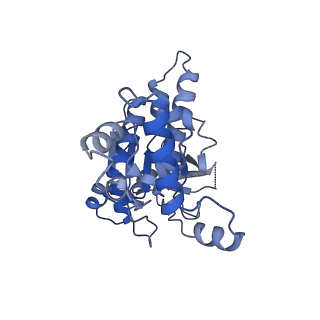 34372_8gyk_D_v1-0
CryoEM structure of the RAD51_ADP filament