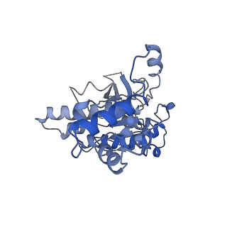 34372_8gyk_F_v1-0
CryoEM structure of the RAD51_ADP filament