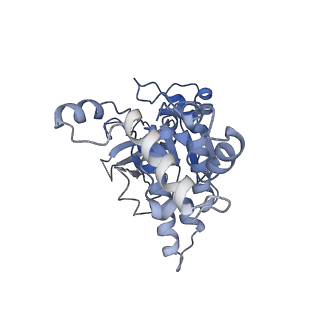 34372_8gyk_H_v1-0
CryoEM structure of the RAD51_ADP filament