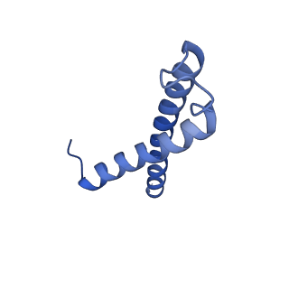 34373_8gym_1T_v1-0
Cryo-EM structure of Tetrahymena thermophila respiratory mega-complex MC IV2+(I+III2+II)2