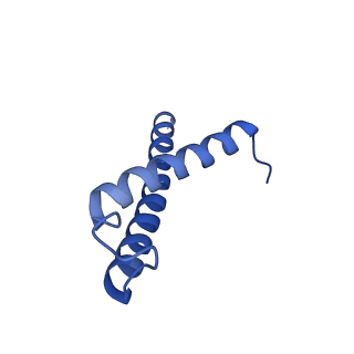 34373_8gym_1t_v1-0
Cryo-EM structure of Tetrahymena thermophila respiratory mega-complex MC IV2+(I+III2+II)2