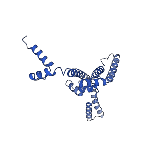 34373_8gym_2F_v1-0
Cryo-EM structure of Tetrahymena thermophila respiratory mega-complex MC IV2+(I+III2+II)2